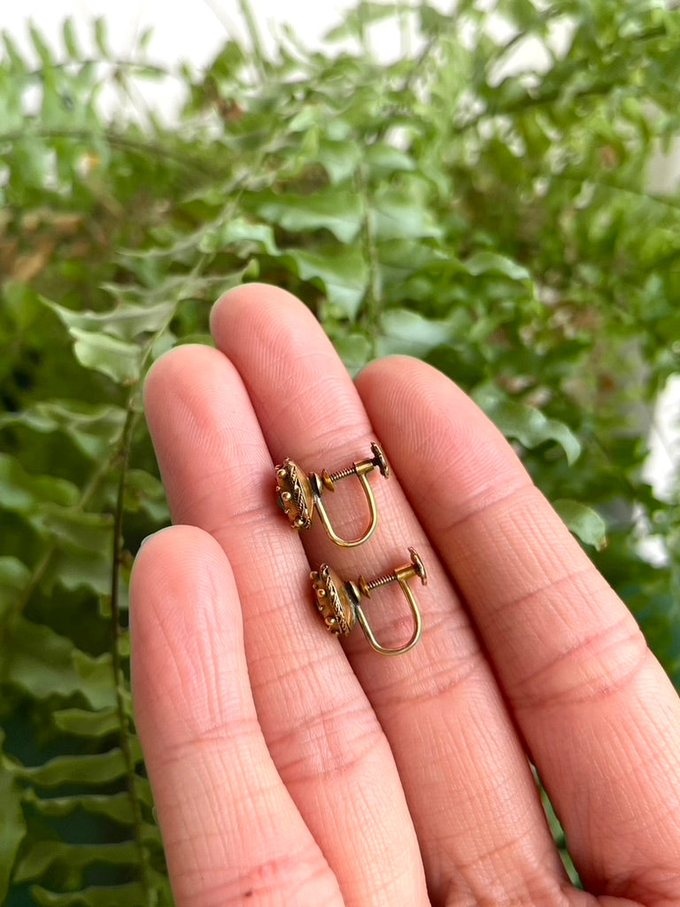 Gold Victorian Etruscan Revival Turquoise Screw Back Earrings